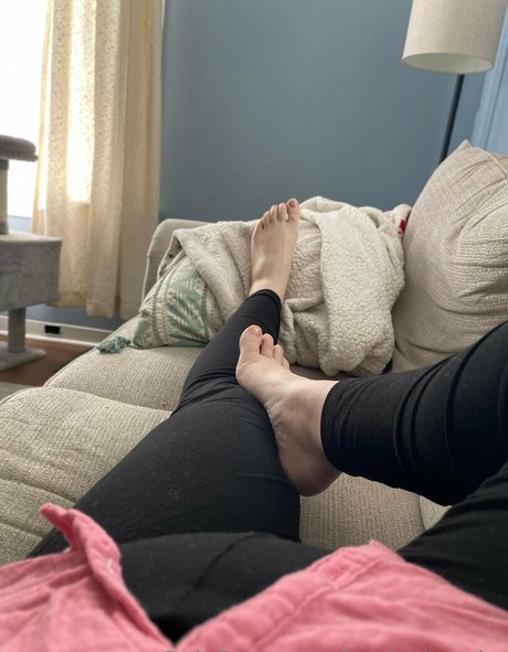 feedeebrooke perfect star galleries