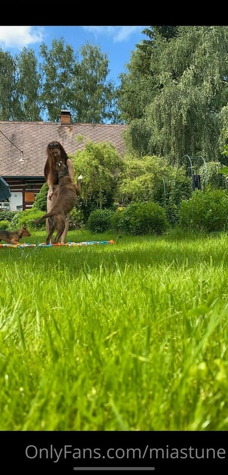 bbw kitty onlyfans pretty pics