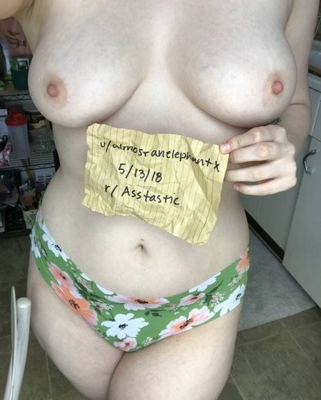 almostanelephantx xxx actress image