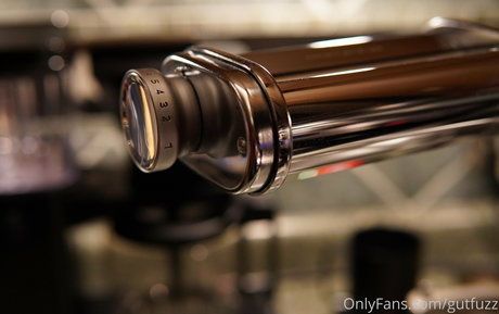 gutfuzz sexy star archive