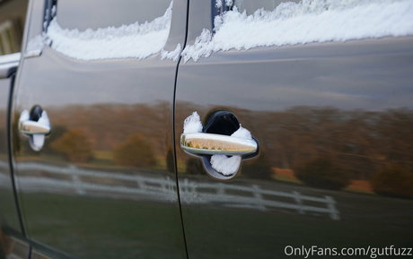 gutfuzz perfect model img