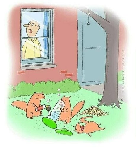 gutfuzz erotic pornstar archive