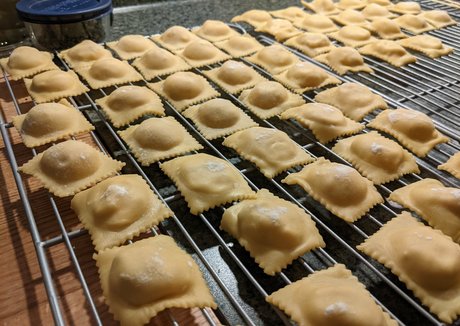 gutfuzz best model pic