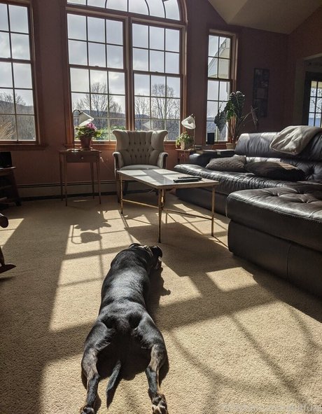 gutfuzz top star galleries