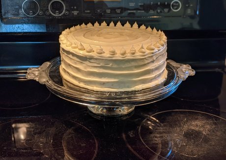 gutfuzz star high quality gallery