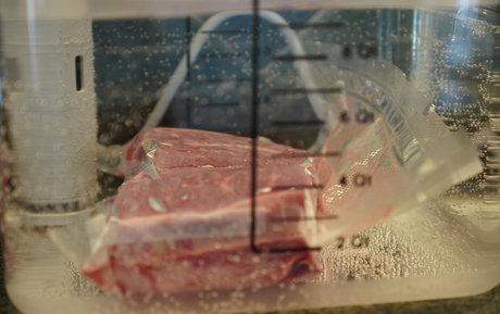 gutfuzz star nudes archive