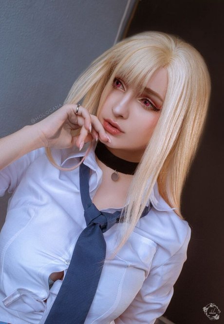 Hologana model top images