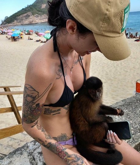 Caputile porn actress galleries