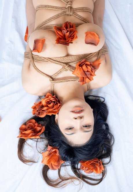 Ai Natsumi star porn image