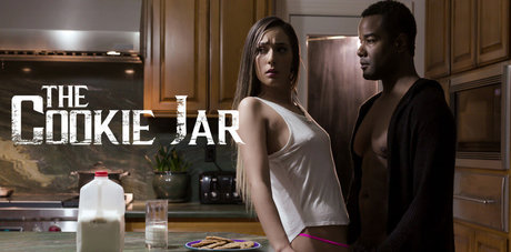 Pure Taboo high quality star archive