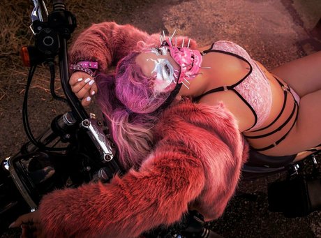 fantasyani nice star gallery