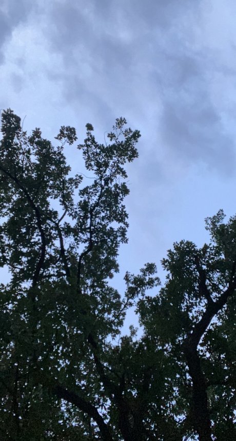 Nuuuuute erotic actress img