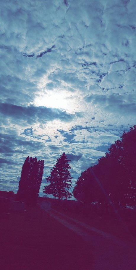 pawg amateur onlyfans hot xxx archive