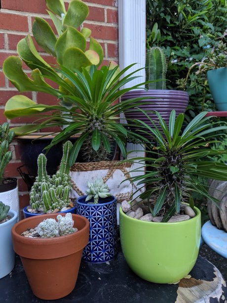 Matt woodds model xxx pic