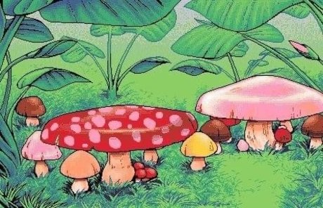 Niko Miner xxx actress pic