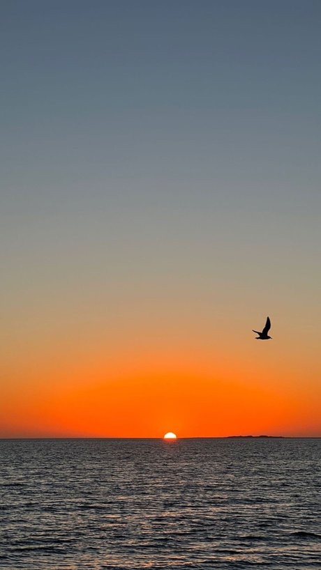 Pepe Angell best model img