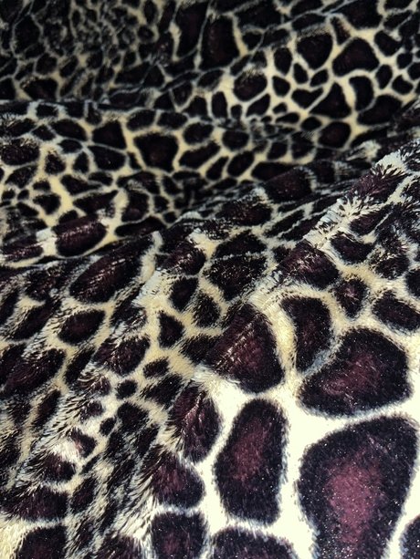 P de Sereia top pornstar pic