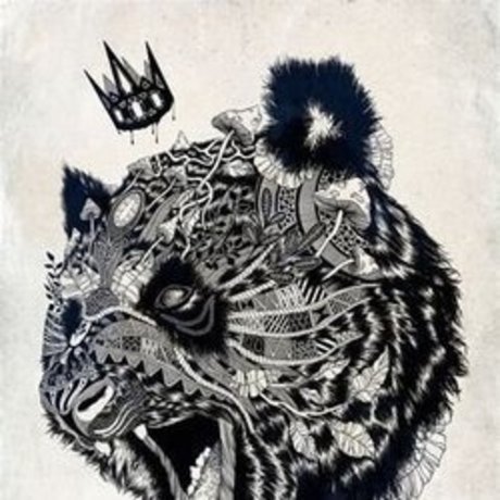 The1KingPanda sexy model photos