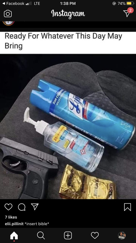 Daddy Long Leg star galleries