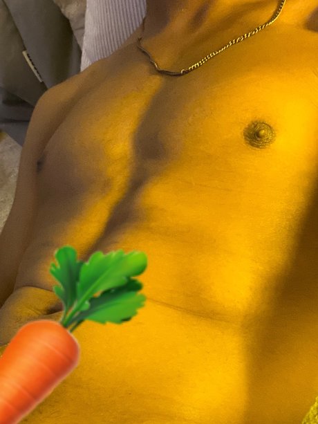 OMNILON high quality pornstar image