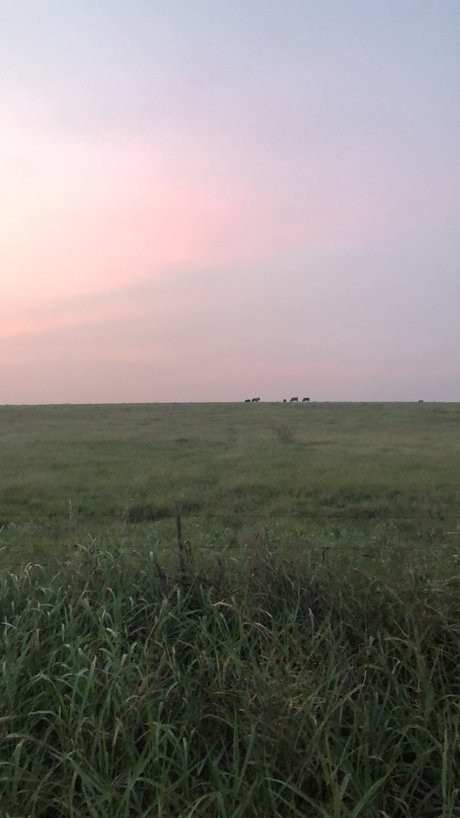 Mistress Nikki pornstar naked photos