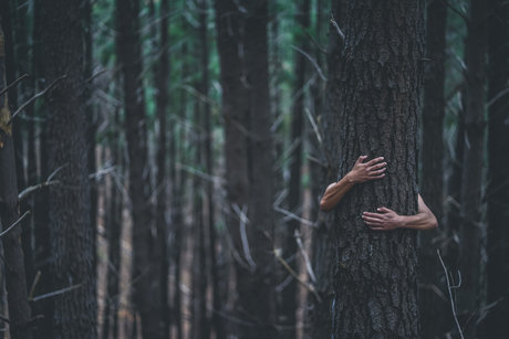 CryptoFomo nudes pornstar image