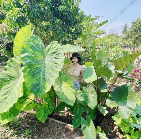 Por Punnada star nice photos