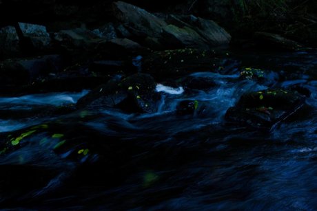 Pornstar Jesus star best photos