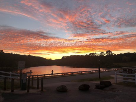 sneaky link_ pretty star photo