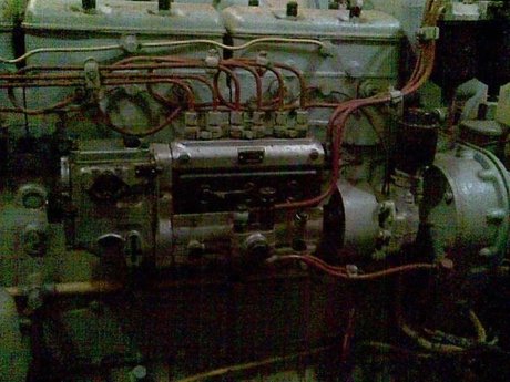 dmv onlyfans beautiful nude gallery