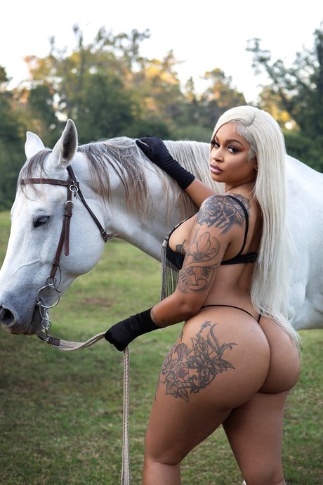 Phfame4 beautiful pornstar images