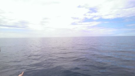 Petr Vert model high quality image