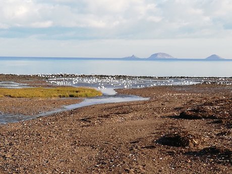 Racesex free model photo