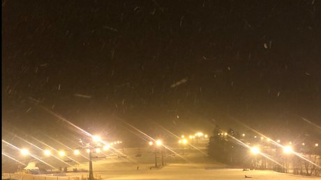 pussyyfairyxbf model hd gallery