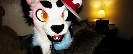 PucksTailor high quality model archive