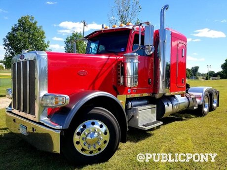 Public Pony star art img