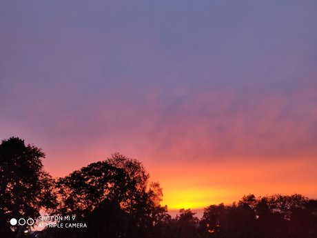 Mey_ nudes actress pics