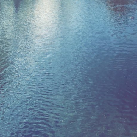 Greenie pornographic actress pics