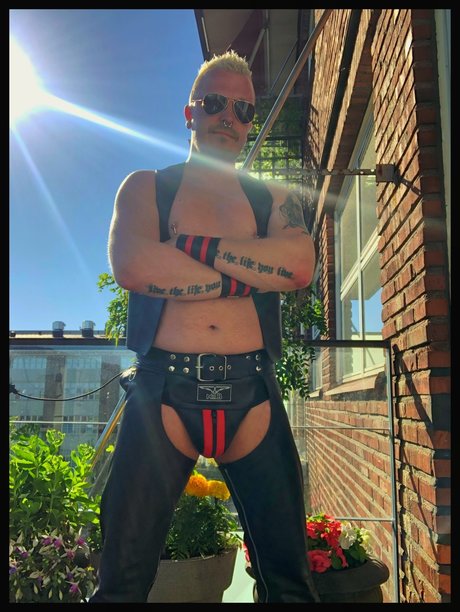 Replot model beautiful galleries