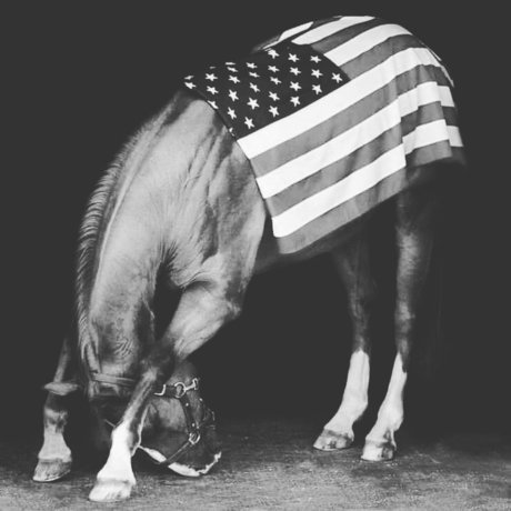 Rebel Country2002 pretty model galleries