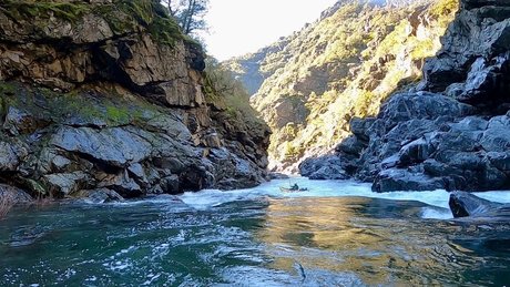 RanchHand1023 beautiful star gallery