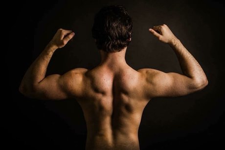 Roman Fischer high quality model picture