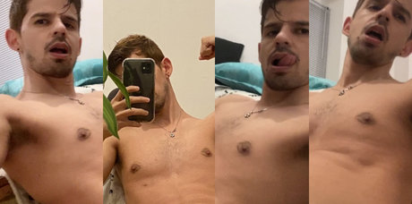 Rodaishi star free images