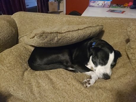 black curvy onlyfans free nude photo