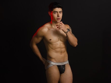 Angelov model perfect img