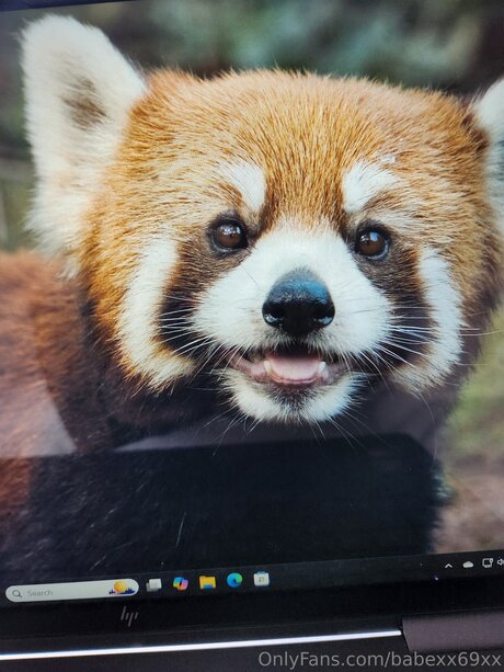 seduction onlyfans best archive