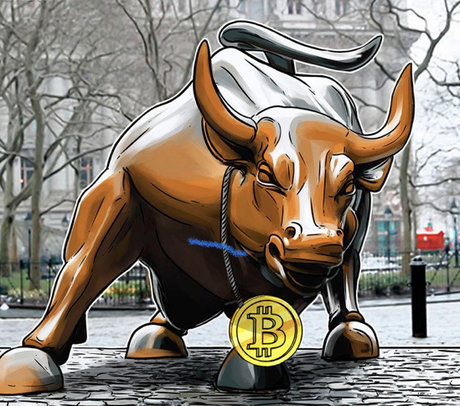 FreeChoice pornstar adult pictures