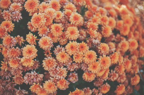 interracial threesome onlyfans hot gallery