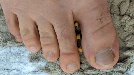 Max the Giant free pornstar picture