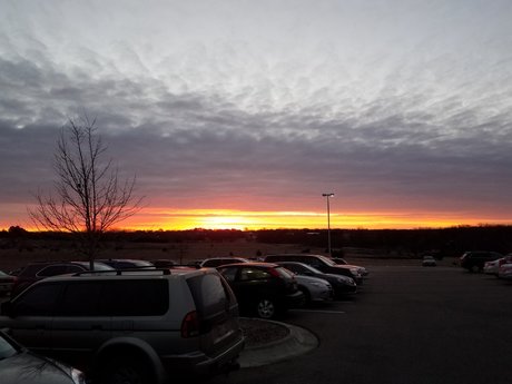 MavX pornographic actress gallery